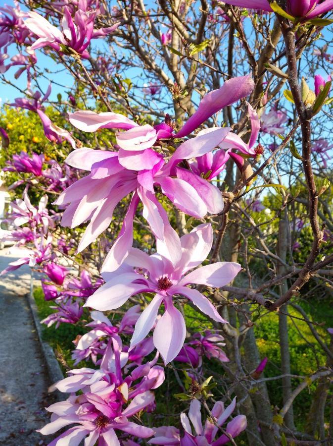 Secret Garden Aigio