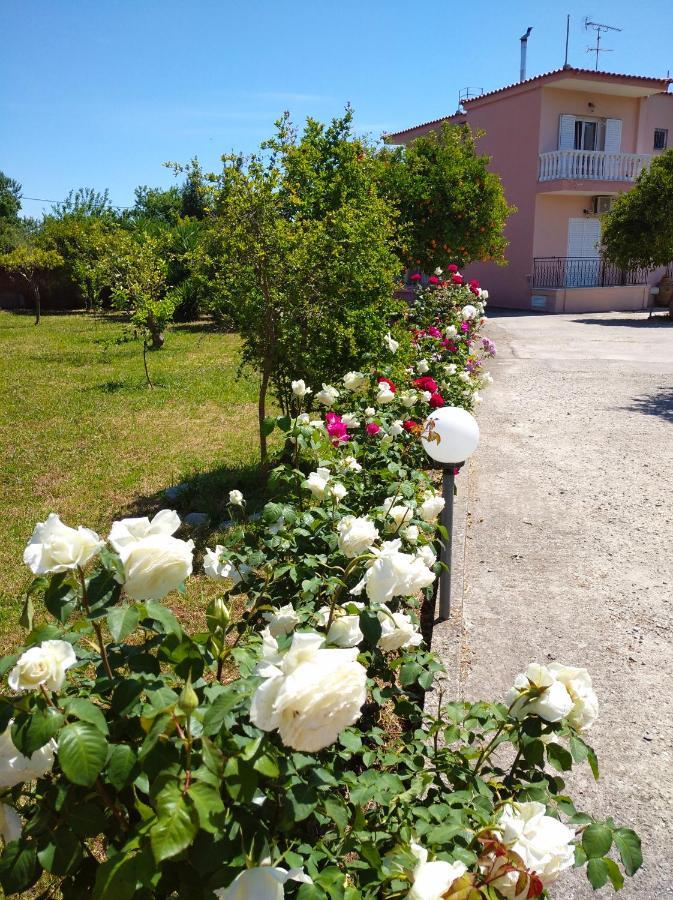 Apartment Secret Garden Aigio
