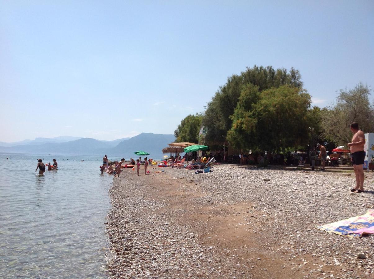 Secret Garden * Aigio